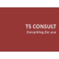 TS Consult Logo