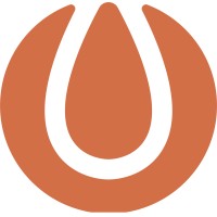 Sheedo Logo