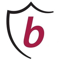 Baron Payroll Logo