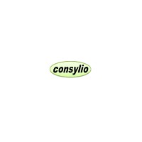Consylio Srl Engineering Company Logo
