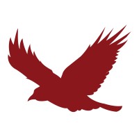 Ravn Alaska Logo