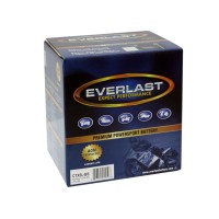 The Battery Experts & EverLast Batteries Logo