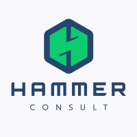 Hammer - Consult Logo