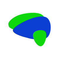 Brain Network Logo