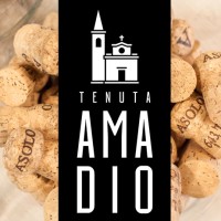 TENUTA AMADIO Logo