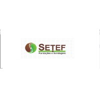 Setef Fundações e Sondagens Logo