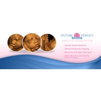Picture Perfect Imaging Logo