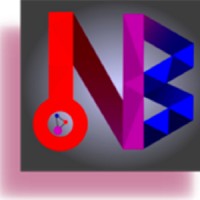 Net Business Serviços e Consultoria em Mídias Sociais Logo