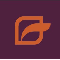 FLEXY CONTÁBIL contabilidade para profissionais liberais Logo