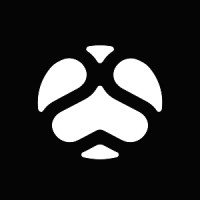 SOULCRAFT ALLSTARS Logo