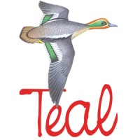 Teal Patents Logo