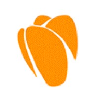Canadian Netherlands Business and Professional Association (CNBPA) Logo