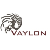VAYLON Logo