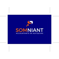Somniant Accountants en Adviseurs Logo