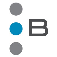 Brunnermeier Logo