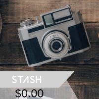 Stash Global Logo