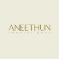 Aneethun Profissional Logo