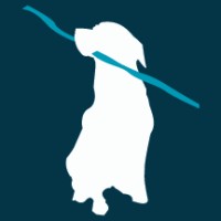 Big Stick Studio Logo
