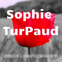 Agence Sophie Turpaud Logo