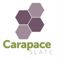 Carapace Slate (SunScape Systems) Logo