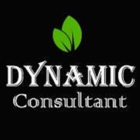 Dynamic Consultant Pvt Ltd Logo