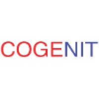 Cogenit Logo