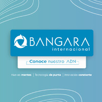 BANGARA S.A. Logo