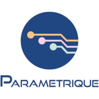 Parametrique Electronic Solutions Pvt. Ltd. Logo