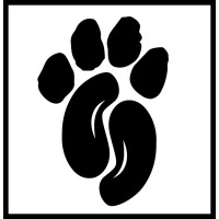 Bean & Bear Media Ltd. Logo