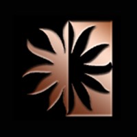 Copperwynd Financial Logo