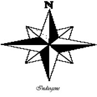 Indiogene Logo