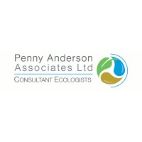 Penny Anderson Associates Ltd Logo