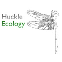 Huckle Ecology Ltd Logo
