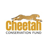 Cheetah Conservation Fund Logo