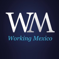 Working Mexico Headhunter Logo
