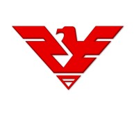 Phoenix Engineering Services, a Qualus Power Services company Logo