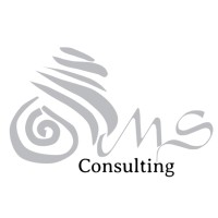 MS CONSULTING - Consulenza aziendale e Formazione qualificata Logo