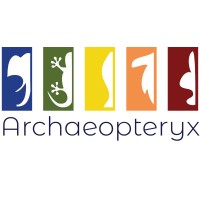 Study Association Archaeopteryx Logo