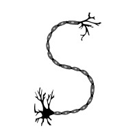 Synaptix Learning Solutions Logo