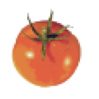 Solyco Logo