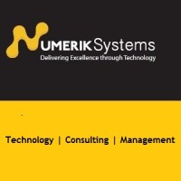 Numerik Systems Logo
