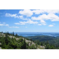 Team New England Associates Logo