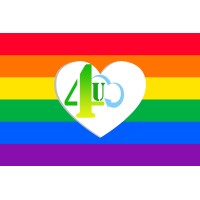 4u Software Solutions Logo