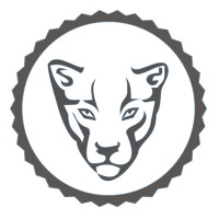 Catch the Cat Marketing Logo