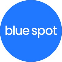 Blue Spot IT Solutions Logo