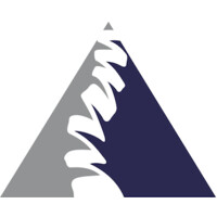 Pinnacle Hill Chiropractic Logo