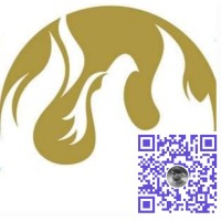 Max Value Insurance Group Logo