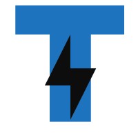 TeNetSoft Logo