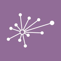 The Spark Institute Logo