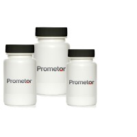 Prometor Logo